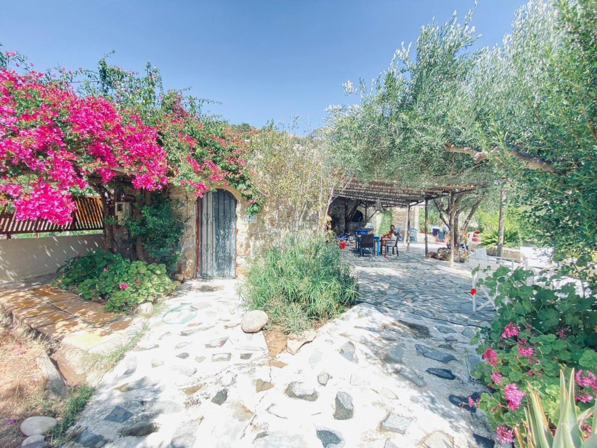 Natura Cottages Makrýgialos Exteriör bild